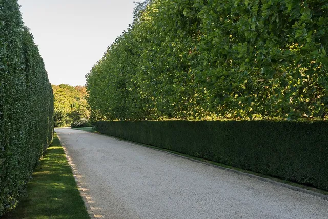 1_0_216_1east_hampton_residence_2014_4.jpg