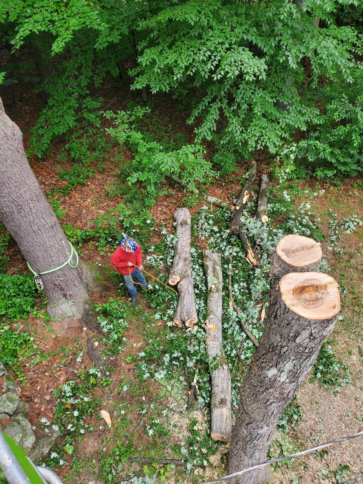 work photo from Google listing