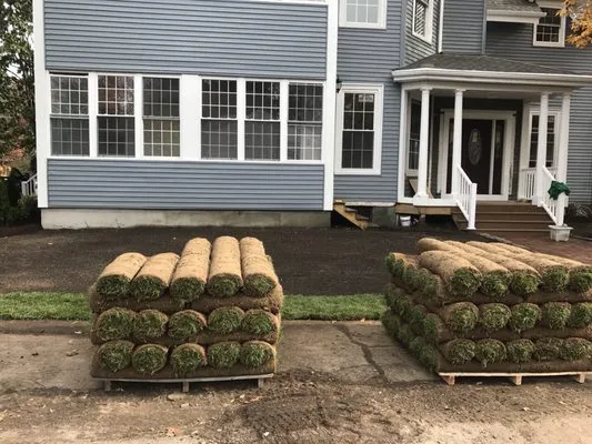 Sasha Landscaping researched project photo