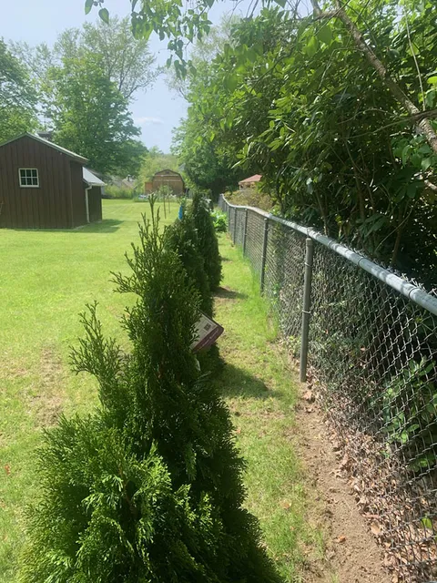 Chapin's Lawn Service work photo