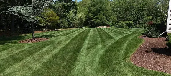 Cutting Edge Lawn Care & Landscaping work photo