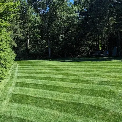 Lawnsmiths LLC work photo