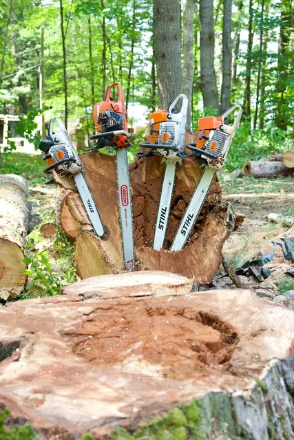 work photo from gardnertreeme.com
