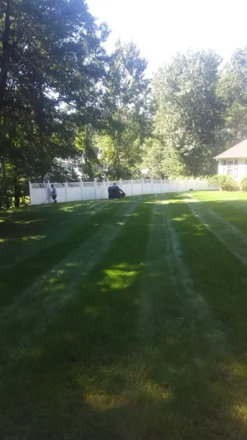 Trophy Lawns work photo