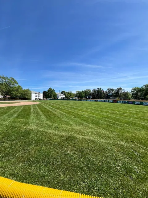 View of a baseball field with green grass, dirt infield, and a bright blue sky with some wispy clouds, surrounded by trees and residential buildings.