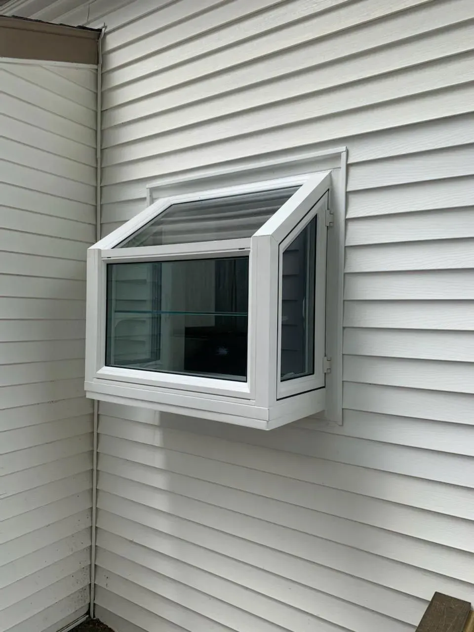 Window