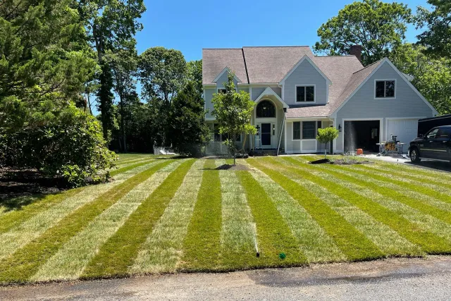 Lawn fertilization