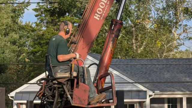 Paul Bunyan Wood Co work photo
