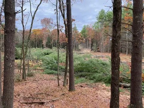 work photo from hopkintonforestry.com