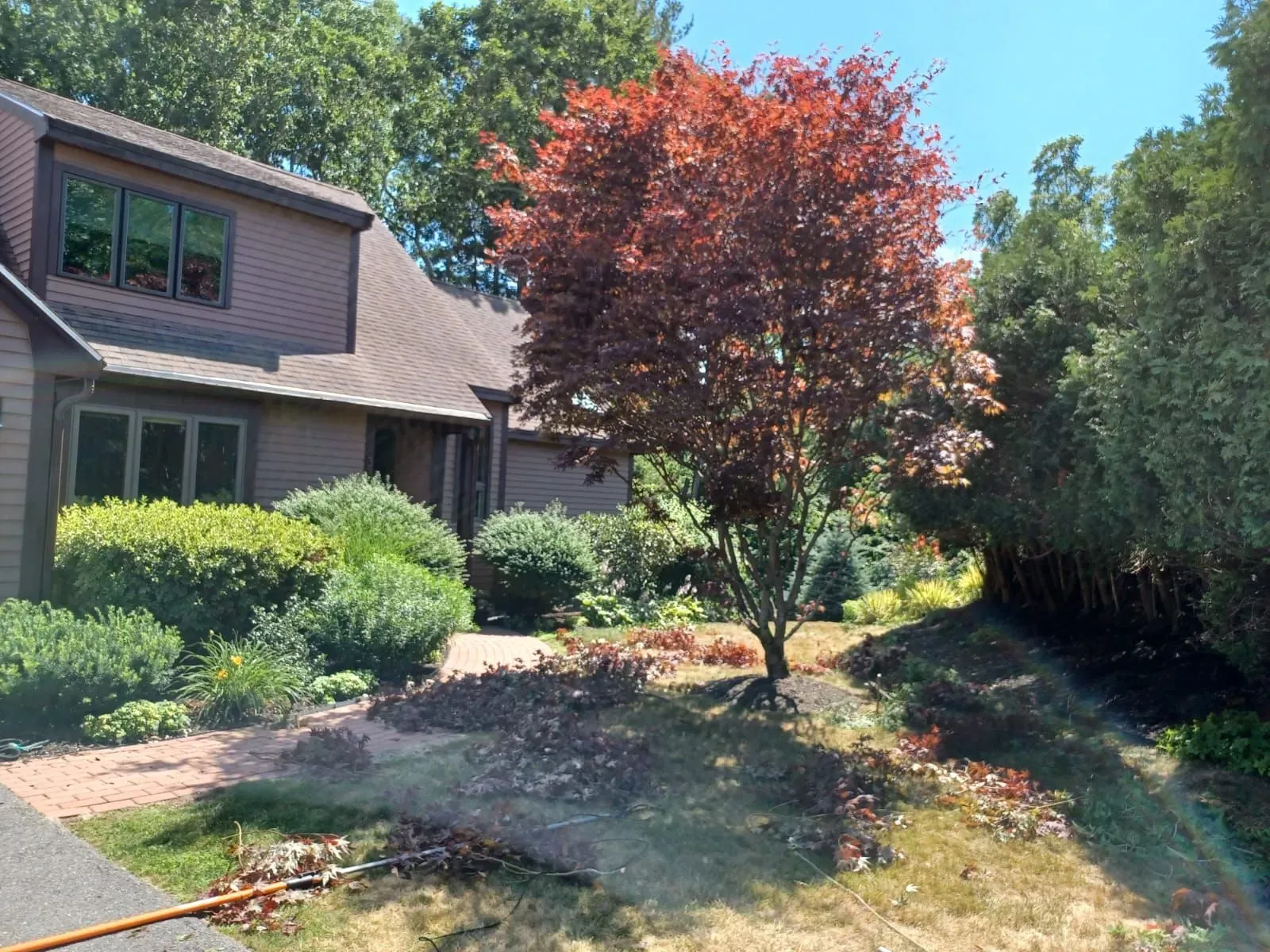 Tree service