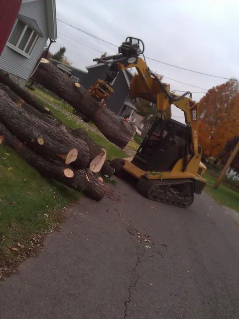work photo from huntertreeservice.biz