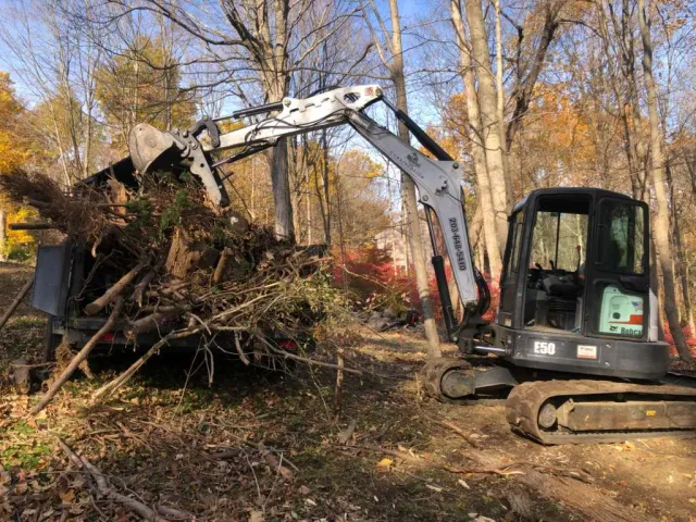 work photo from mjtreeservicesllc.com