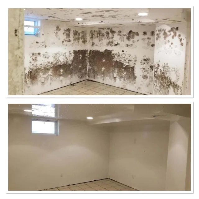 MOLD BUSTERS LLC work photo