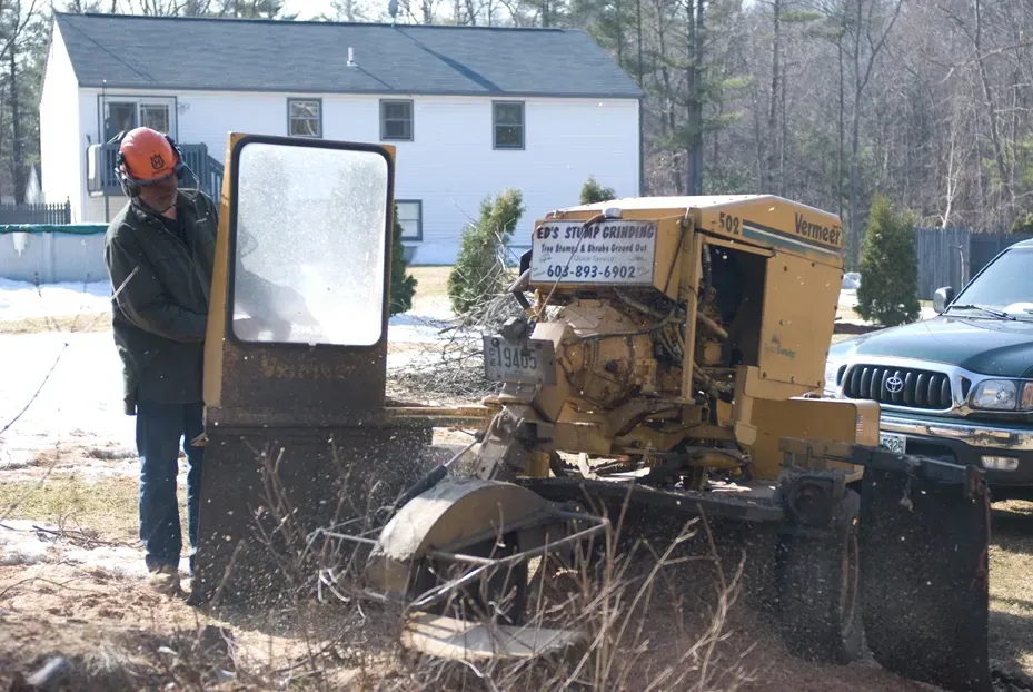 Ed's Stump Grinding researched project photo