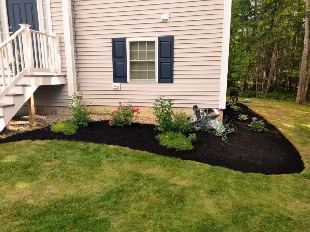 House side yard with fresh dark mulch, small shrubs, and a beige exterior wall with blue shutters
