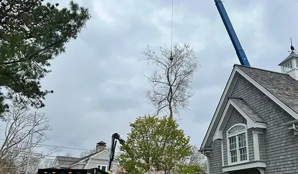 Blue crane lifts debris beside a gray house under an overcast sky