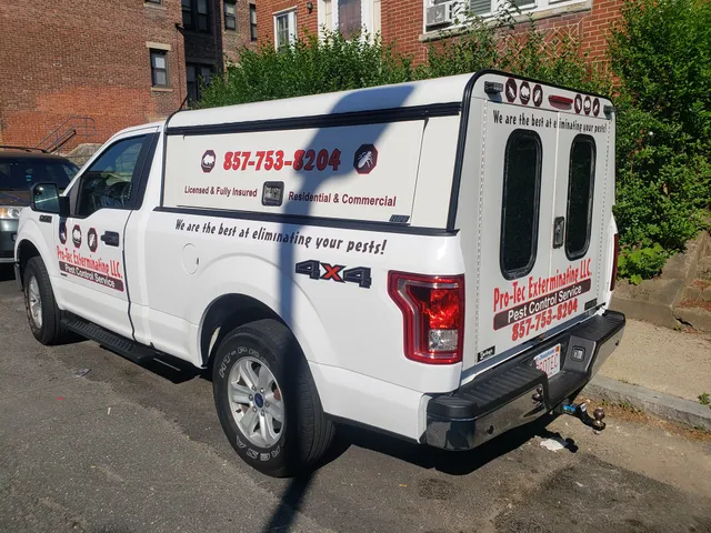 Pro-Tec Exterminating LLC work photo