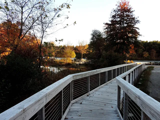 Michael Wasser Associates researched project photo