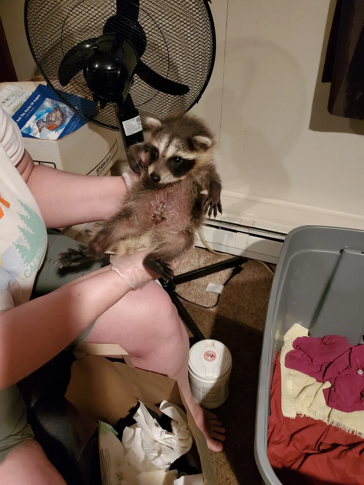 work photo from Google listing