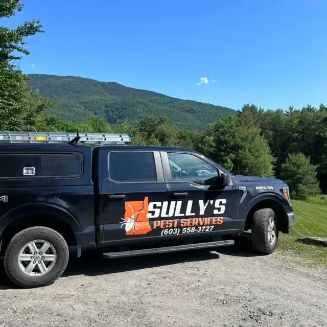 Sully's Pest Services work photo