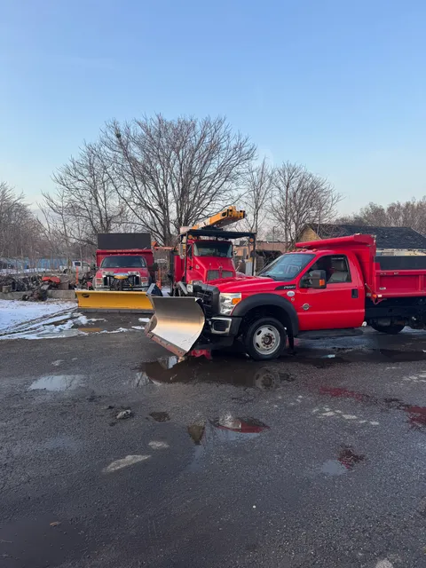 Tree care project by Yatsinko Tree Service in Fairfield County, CT