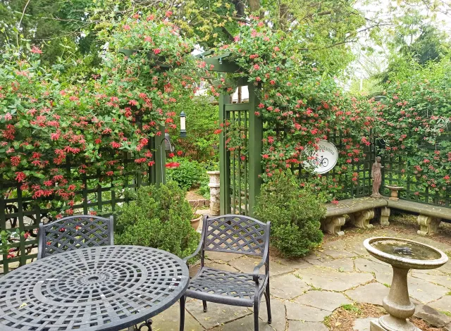 Garden patio with wrought iron furniture, trellis with climbing plants, and bird feeder.
