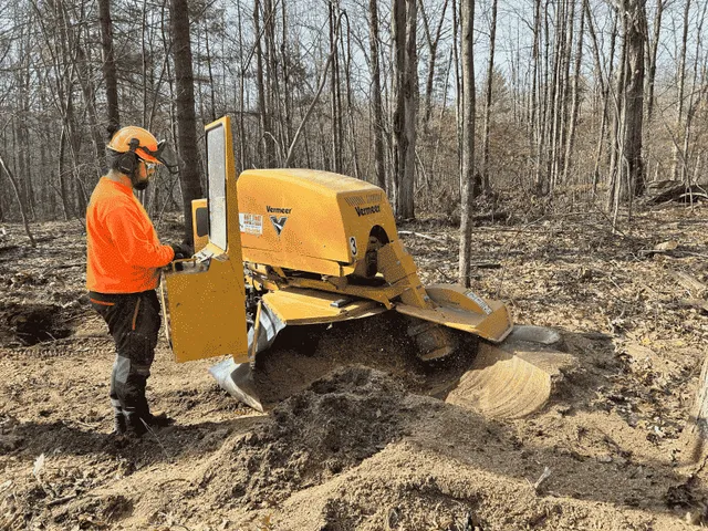 On A Limb Tree Service, LLC work photo