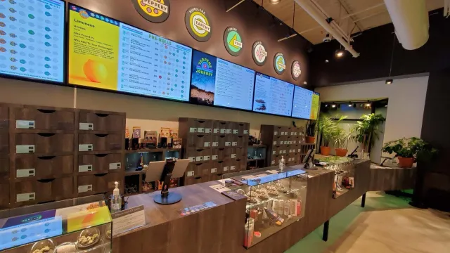 terpene+journey+interior.jpg