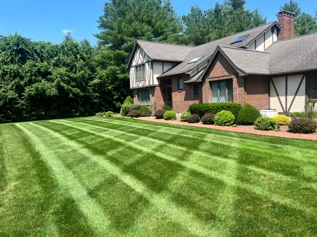 Lawn Care