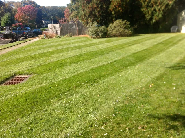 Ferraro Lawn care work photo