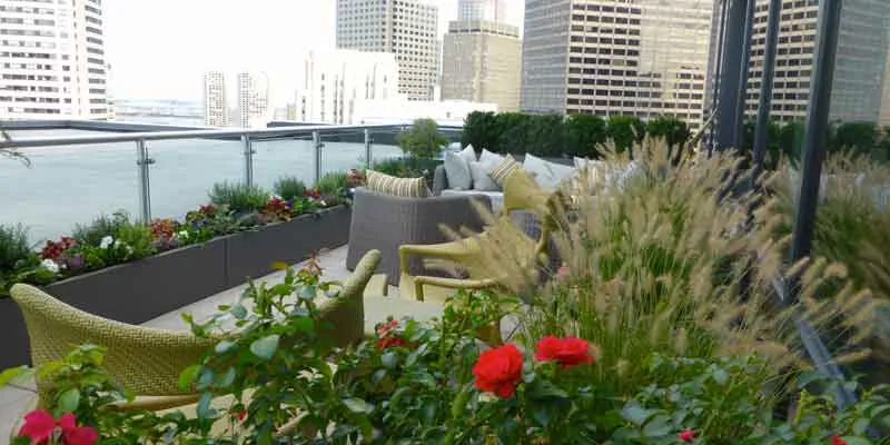 View of rooftop garden in Boston
