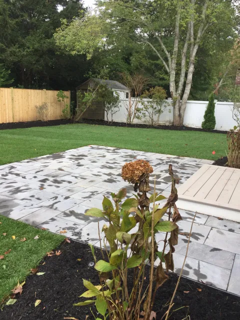 Backyard with a patio, wooden fence, and trees. Lawn and mulch beds with plants, including one with dried flowers near the foreground. Overcast sky.