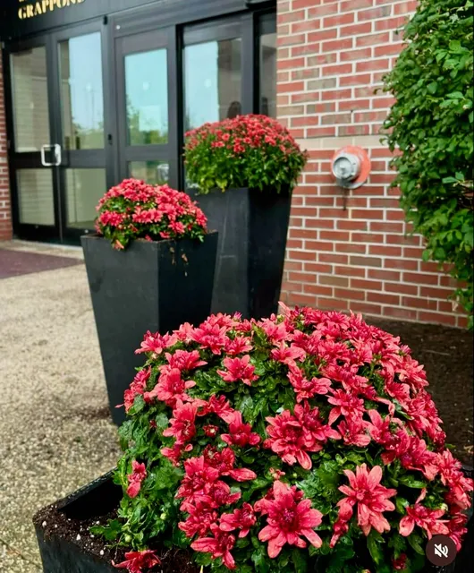 Entrance landscaping with vibrant red flowers in tall planters, designed by Perfect North Lawn Care for a commercial property in New Hampshire.