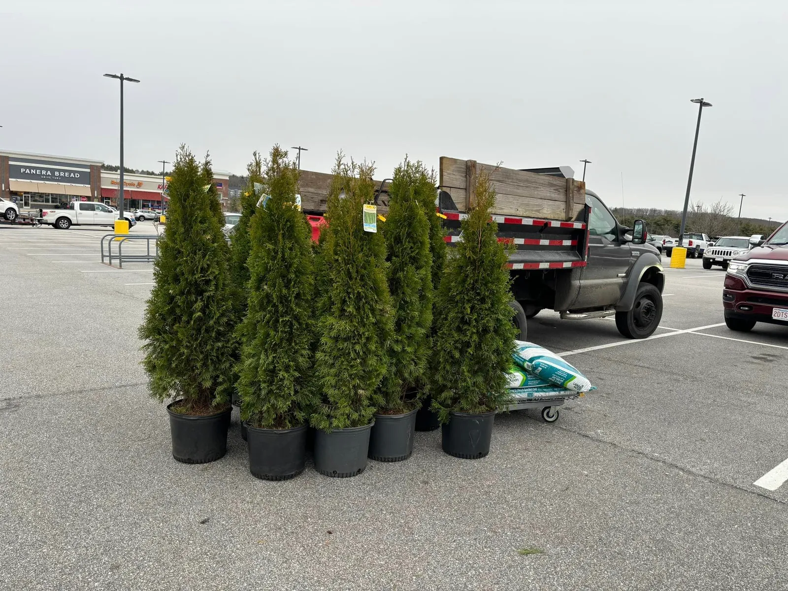 work photo from actonlawnmowing.com