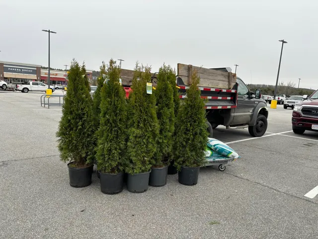 work photo from actonlawnmowing.com