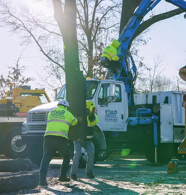 Moving Large Tree Limb