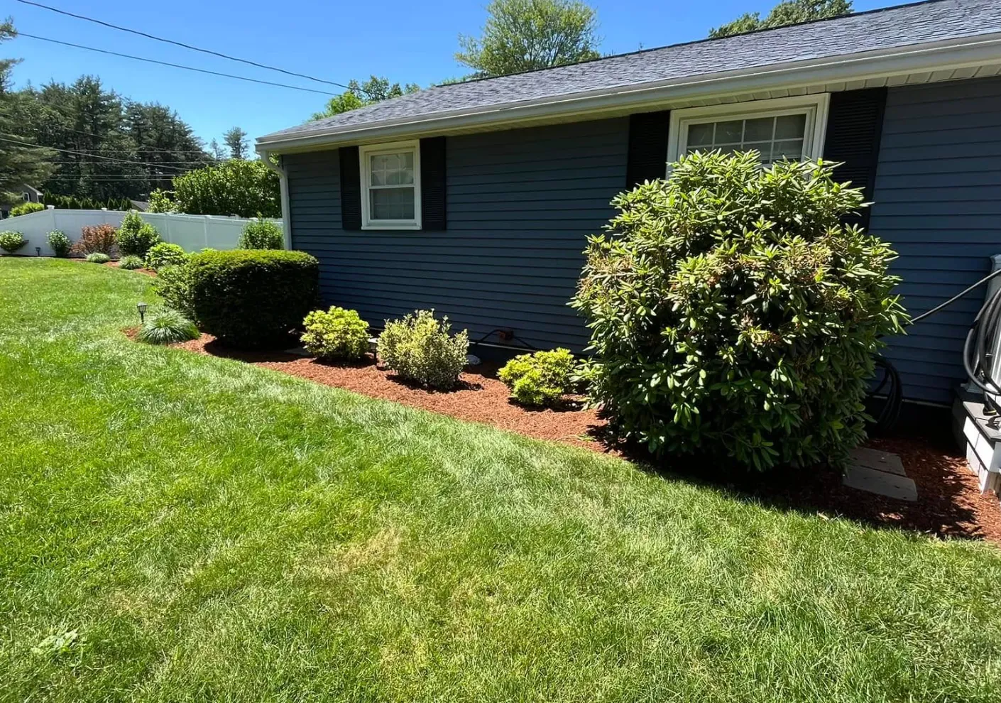 Well-maintained backyard with green grass, bushes, and a blue house with white trim and black shutters.