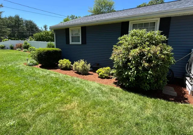 Well-maintained backyard with green grass, bushes, and a blue house with white trim and black shutters.