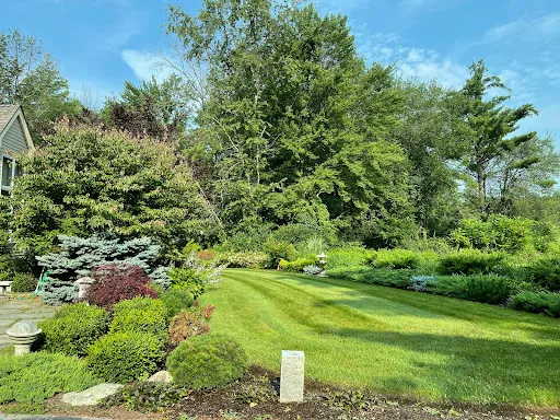 Lawnmark Plus work photo
