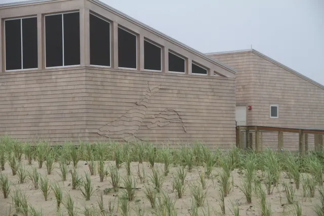 Modern building with sloped roof and large windows beside a sandy dune with sparse beach grass
