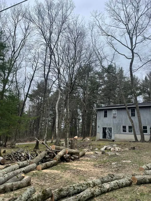 work photo from martineztreework.com