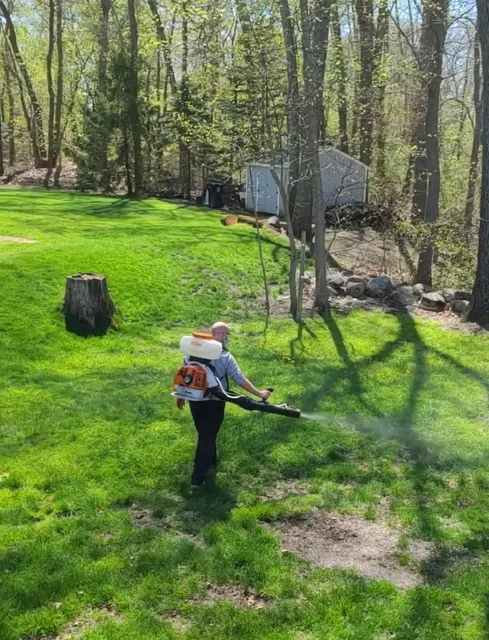 Organic mosquito and pest of massachusetts work photo