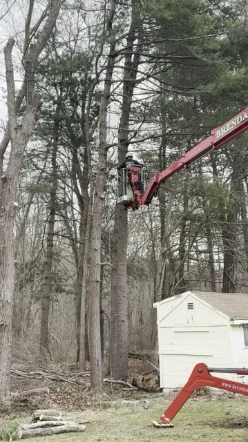 work photo from brendanslandscape.com