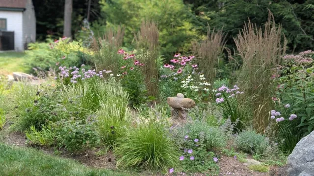 I made #elliesmemorialgarden last year for a wonderful client who lost her beloved pup Ellie. I can't believe how mature the garden looks considering I just planted it last summer! Ellie's ashes and her spirit must have something to do with it. 

#me