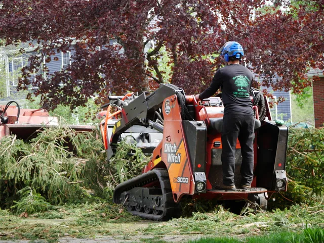 BROOKE TREE SERVICE work photo