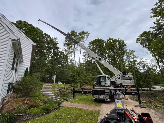 Deep Woods Tree and Landscape LLC work photo