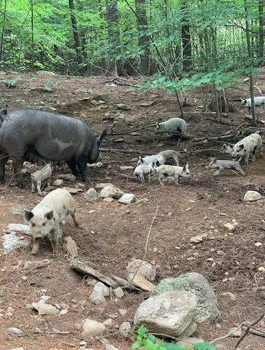 Review photo by Renee Roberts