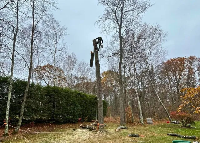work photo from evergreenlawnandlandscape.com