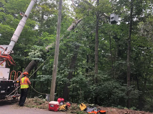 Tree trimming crew using a lift, working near power lines. Man in safety vest. Roadside setting.