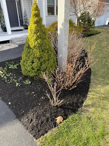 Review photo by Wayne Demers